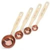 Academy Home Goods - Copper-Plated Measuring Spoon Set 4pce -Bodum-shop 587047 Large